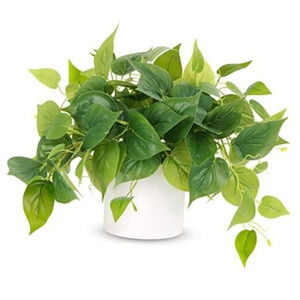 Faux Indoor Plant in Ceramic Pot, Threshold Pothos Small Fake Plants NEW